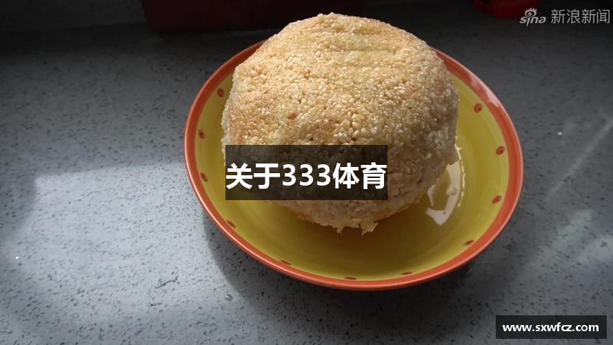 关于333体育